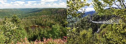 Blackforestline